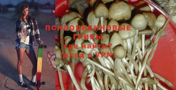 сатива Алзамай